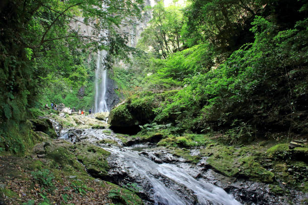 istock Waterfall of Higashishiiya 891392218