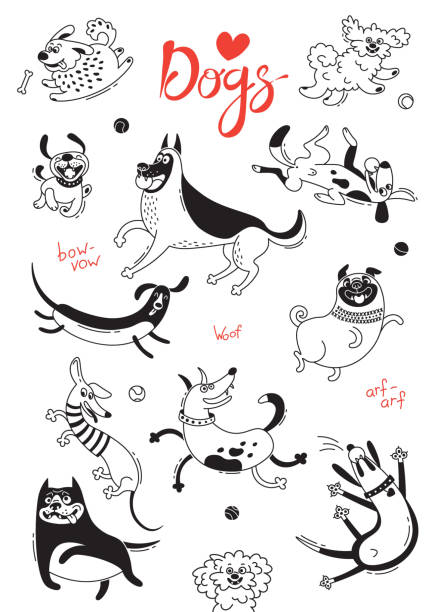 Playing dogs. Funny lap-dog, happy pug, mongrels and other breeds. Set of isolated vector drawings for design Playing dogs. Funny lap-dog, happy pug, mongrels and other breeds. Set of isolated vector drawings for design. pitbull graphic stock illustrations