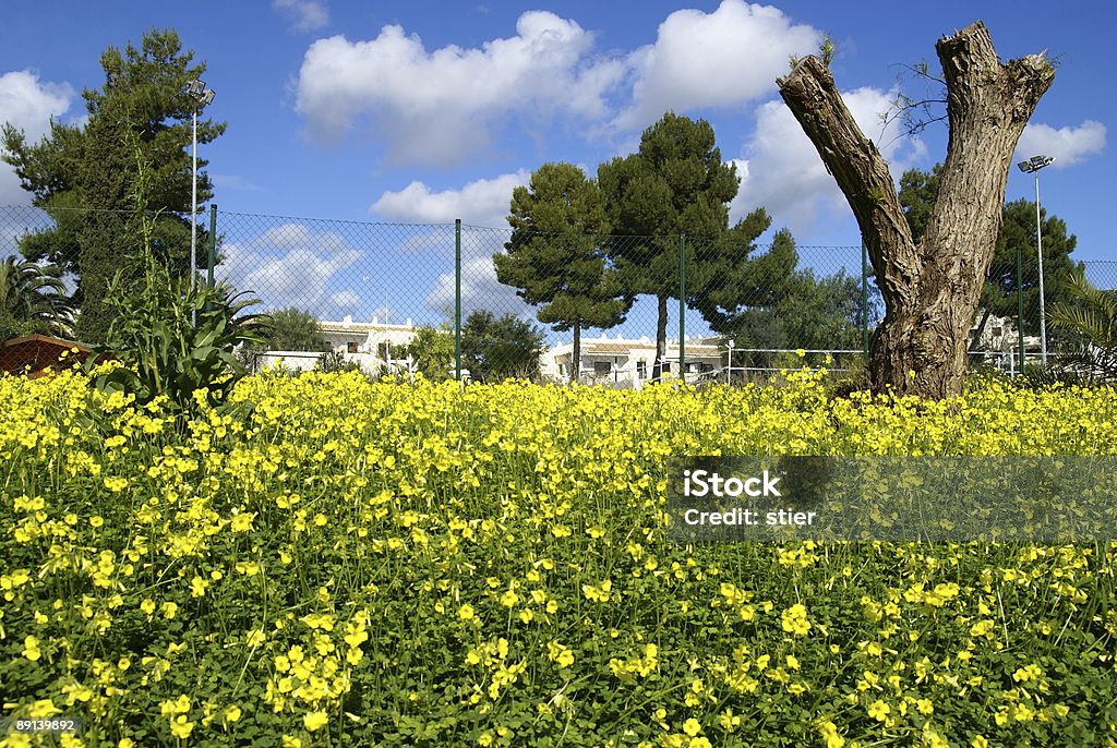 Natur an der Algarve - Lizenzfrei Algarve Stock-Foto