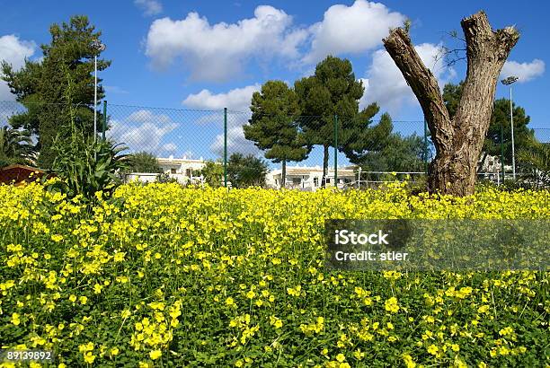 Natur An Der Algarve Stockfoto und mehr Bilder von Algarve - Algarve, Baum, Baumblüte