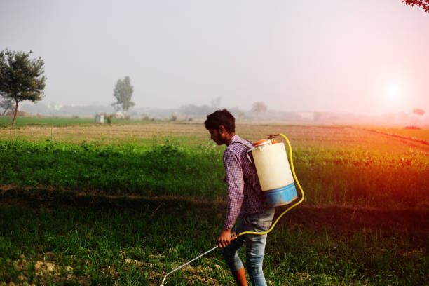 istock Farmer Spreads fertilizers in the Field 891399554