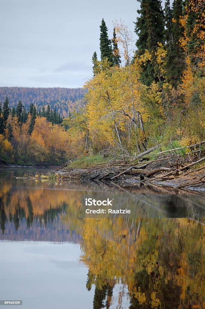 Beaver Lodge Reflektionen - Lizenzfrei Alaska - US-Bundesstaat Stock-Foto