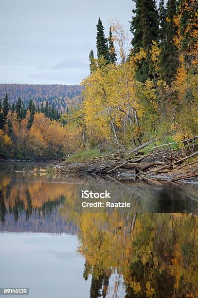 Beaver Lodge Reflektionen Stockfoto und mehr Bilder von Alaska - US-Bundesstaat - Alaska - US-Bundesstaat, Bach, Biber
