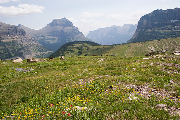 istock Glacier National Park from Logan Pass boardwalk 89140373