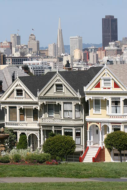 three-painted-ladies.jpg?s=612x612&w=0&k=20&c=y-SNO1BOt3W15DDkZR0CSipLO9yHPXgVys3ffytCq4Y=
