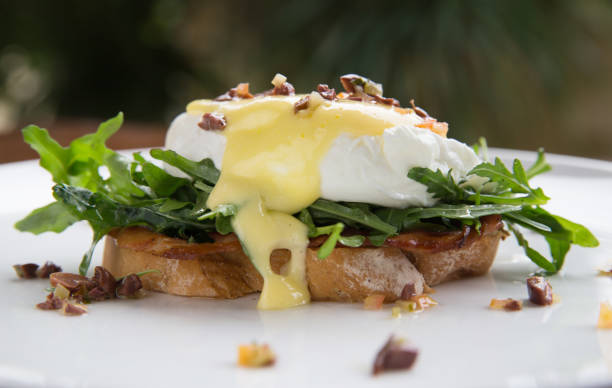 雞蛋本尼迪克特經典的早餐風格。水煮蛋烤麵包 - benedict 個照片及圖片檔
