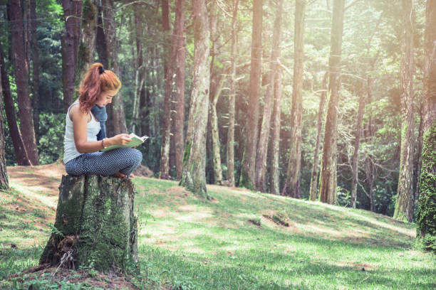 istock Read women relax in the park, pine forest, holiday forest. 891404230