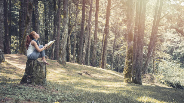 istock Read women relax in the park, pine forest, holiday forest. 891404256