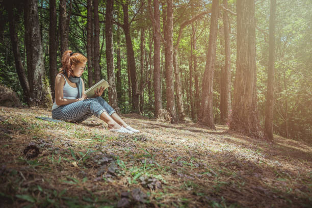 istock Read women relax in the park, pine forest, holiday forest. 891404572