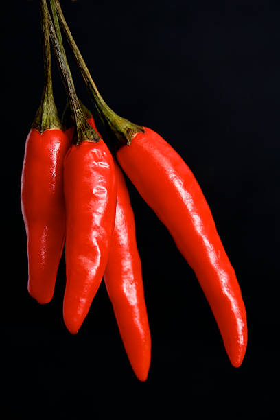 Isolated red peppers  with text space and no person