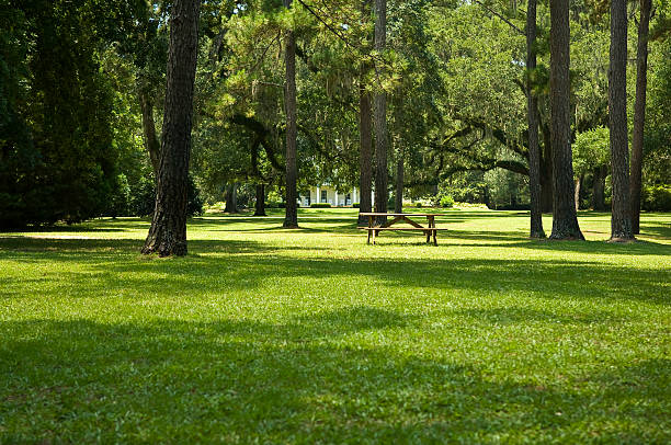 grünem gras rasen mit picknick-tisch und bäume - naturreservat stock-fotos und bilder