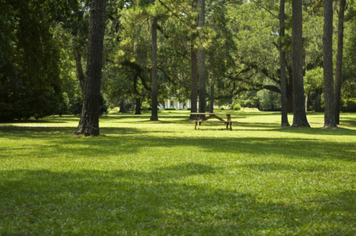 Prado con hierba verde mesa de jardín y árboles photo