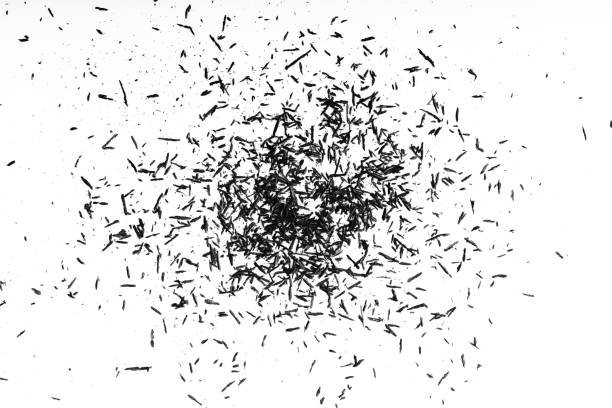 istock Crayon shavings on white background. pencil shavings background 891429100