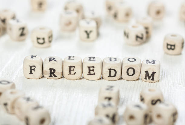 istock Freedom word written on wood block. 891430256