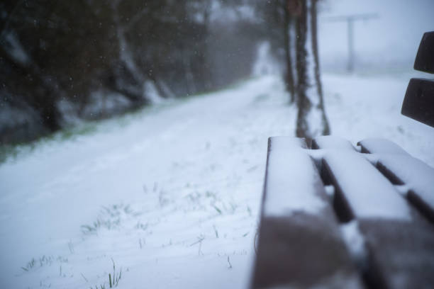 snow covered wooden sitting bench in park at winter