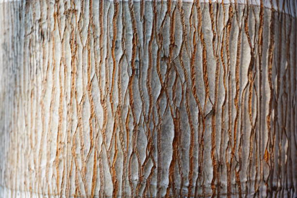 istock Piece of old wood 891440928