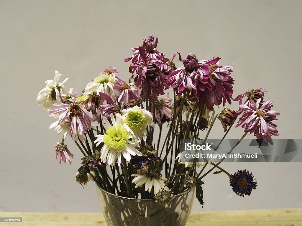 Wilted old flores - Foto de stock de Caído libre de derechos