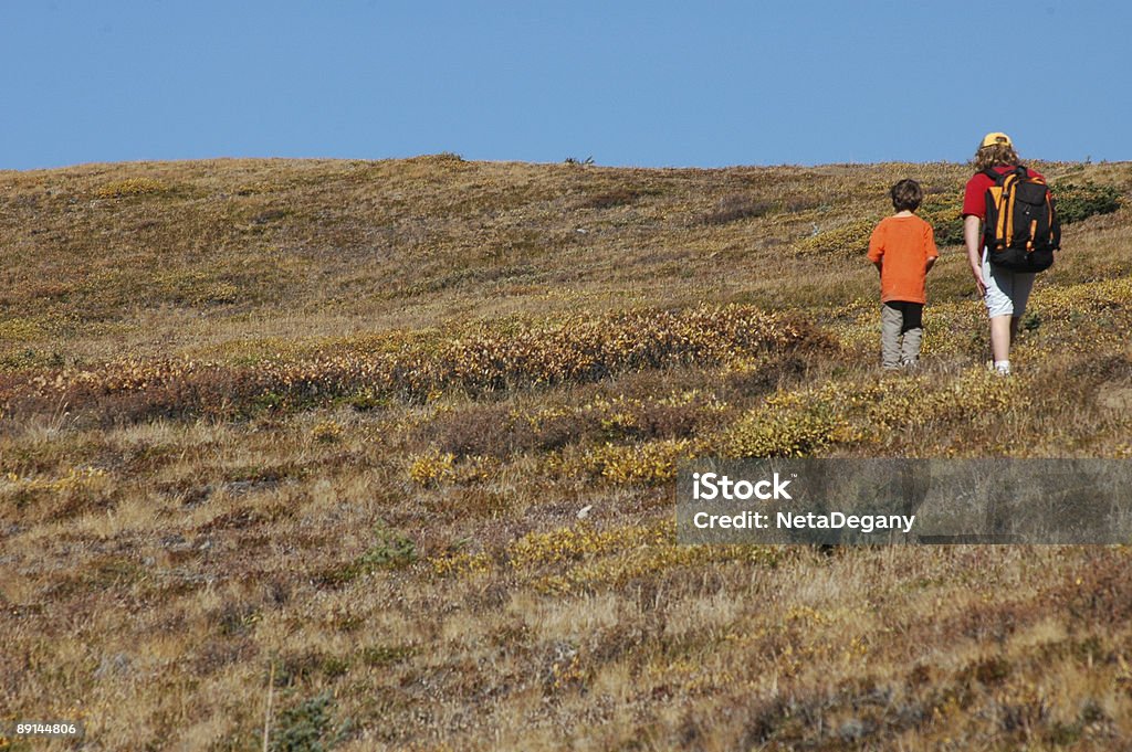 Autumn Hike in Wilcox Pass Banff National Park  Alberta Stock Photo