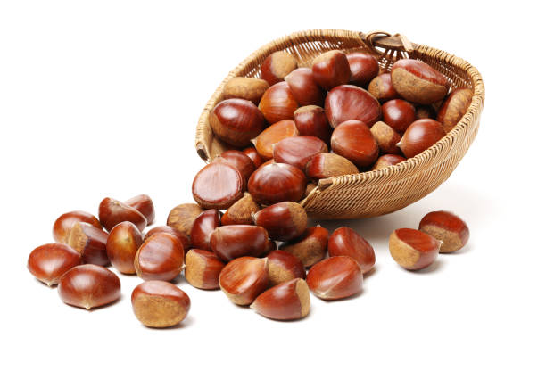 каштаны изолированы на белом фоне - chestnut basket large group of objects isolated стоковые фото и изображения