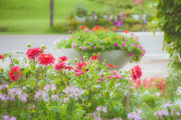 ideas for garden - flowers in old wash-basin