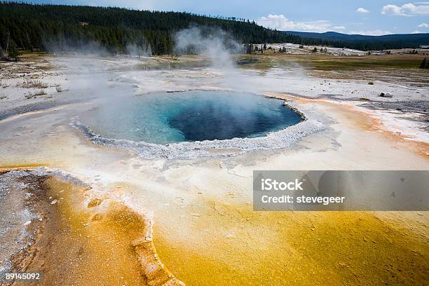 Piscina De Hidromasaje El Parque Nacional De Yellowstone Foto de stock y más banco de imágenes de Cianobacterium