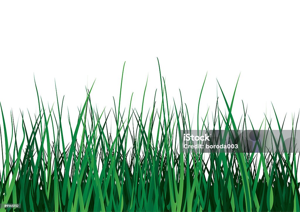 Erba verde su sfondo bianco. - Illustrazione stock royalty-free di Ambientazione esterna