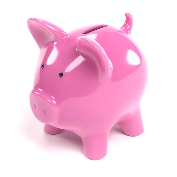 istock Piggy Bank 891452554