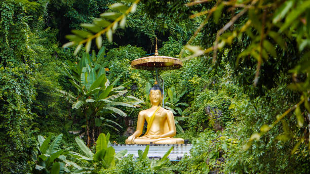 istock golden buddha statue with big umbrella 891452658
