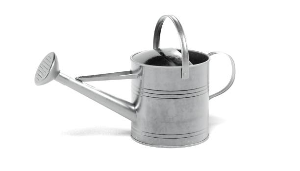 istock Realistic 3D Render of Watering Can 891452930