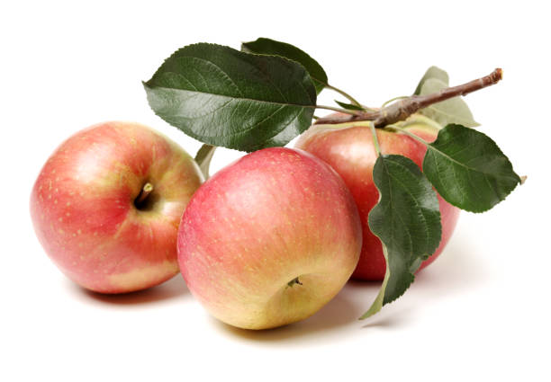 Apple and leaves  isolated on white background
