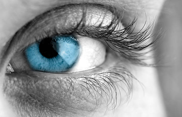istock Closeup of a blue eye with long eyelashes 89145586