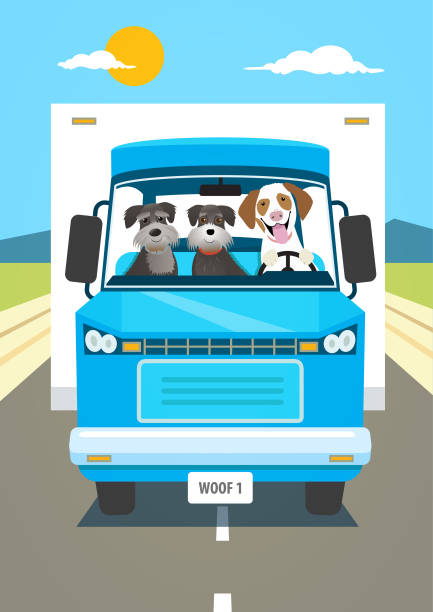 Dog driving a Lorry vector art illustration
