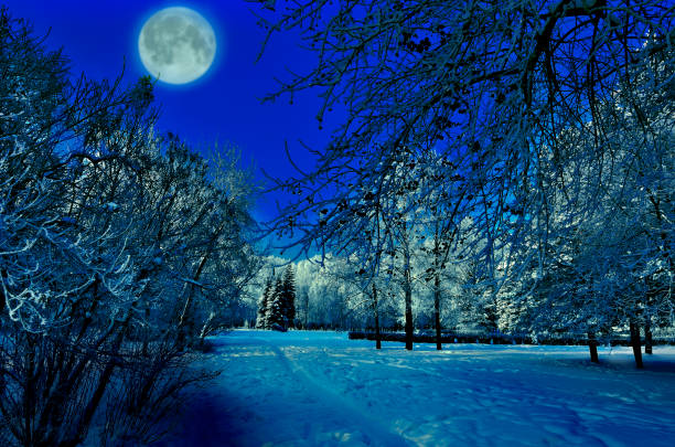 istock Full moon over winter park - beautiful night landscape 891455892