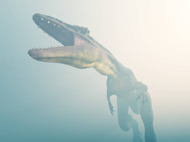 istock Dinosaur Tyrannotitan in the fog 891456672