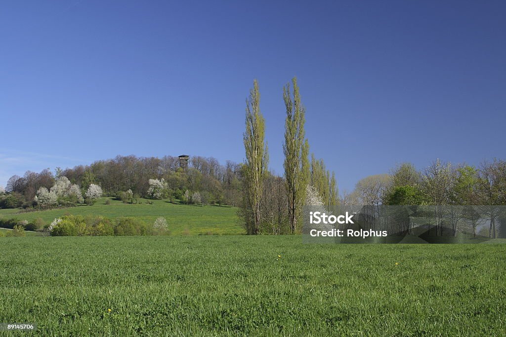 Alteburg Tower w Spring - Zbiór zdjęć royalty-free (Badenia-Wirtembergia)