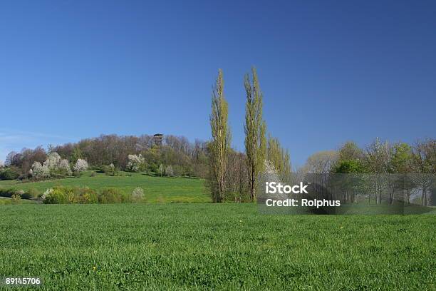 Alteburg Tower W Spring - zdjęcia stockowe i więcej obrazów Badenia-Wirtembergia - Badenia-Wirtembergia, Bez ludzi, Drzewo