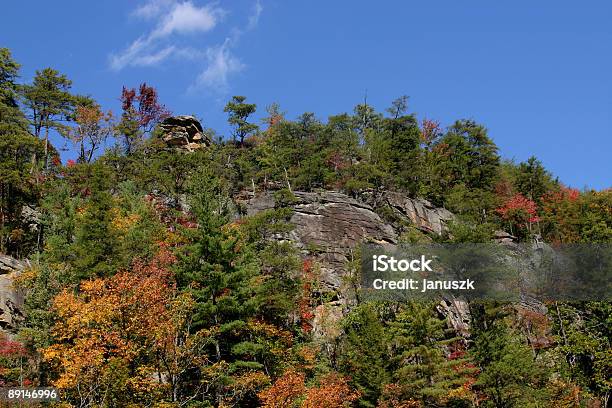 Foto de O Bluff e mais fotos de stock de Appalachia - Appalachia, Bosque - Floresta, Colorido