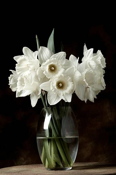 istock White flowers in a vase 89147062
