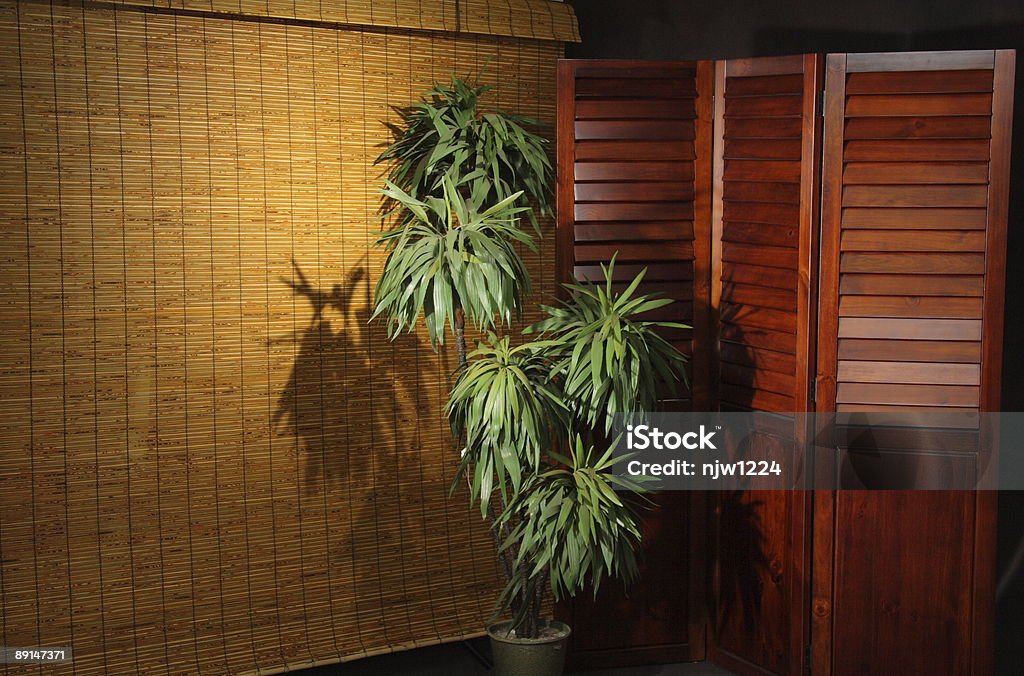 Office Background with Plant  Backgrounds Stock Photo