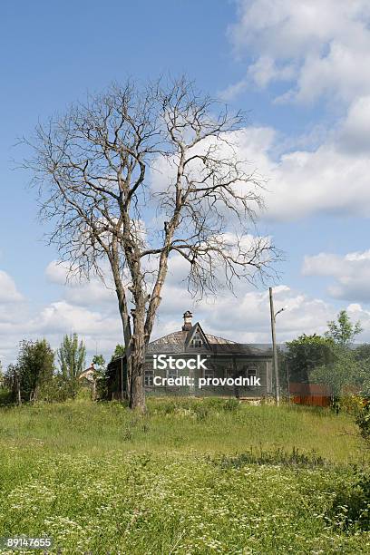 Country House Stockfoto und mehr Bilder von Abgeschiedenheit - Abgeschiedenheit, Agrarbetrieb, Alt