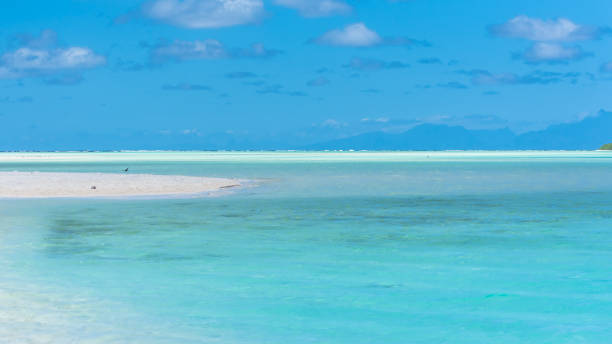 istock Blue lagoon and reef coral in French Polynesia 891478088