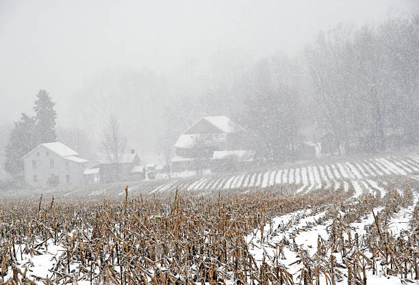 rural scène de la ferme en hiver - Photo