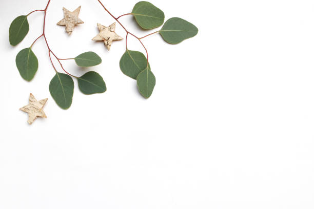 istock Christmas festive styled stock image. Floral frame composition made of eucalyptus leaves, branches and birch wooden stars on white wooden background. Flat lay, top view with empty copy space 891483736