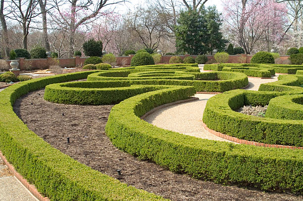 istock Boxwood Hedges in a Formal Garden 89148537