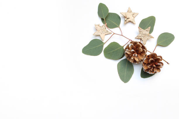 Christmas festive styled stock image. Floral frame composition with pine cones, eucalyptus branches and birch wooden stars on white wooden background. Flat lay, top view. Empty copy space