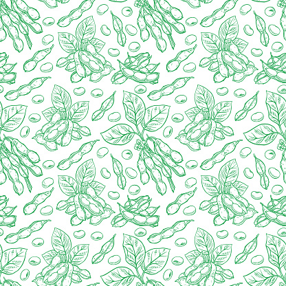 cute seamless background of soyabeans. hand-drawn illustration