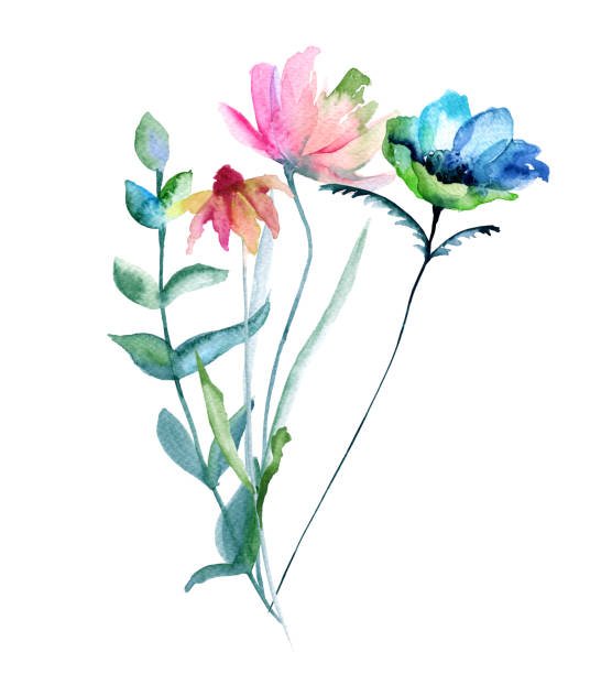 istock Bouquet of wildflowers. Isolated on white background. 891491552