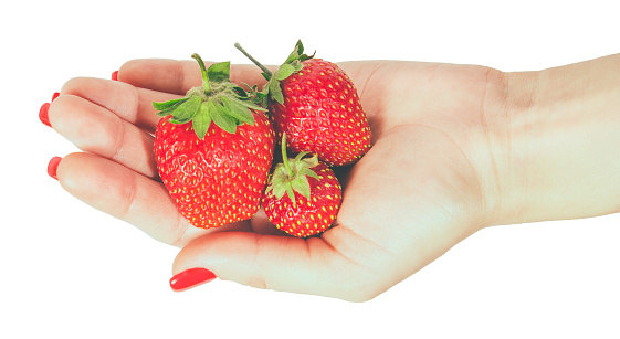 Woman manicured hand whith red nails polish holding fresh strawberries on white background.