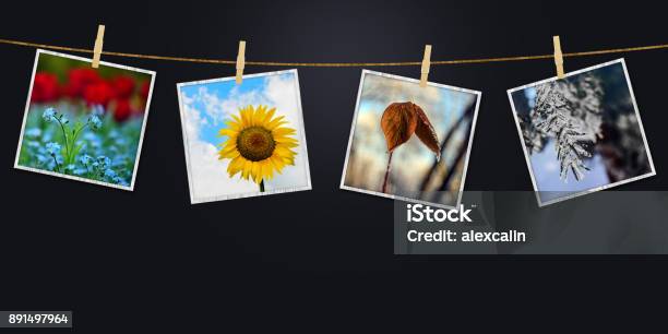 Collage Seasons Stock Photo - Download Image Now - Four Seasons, Season, Composite Image