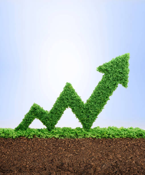 Growth and development concept Grass growing in the shape of an arrow graph, symbolising the care and dedication needed for progress, success and profit in business. prosperity photos stock pictures, royalty-free photos & images
